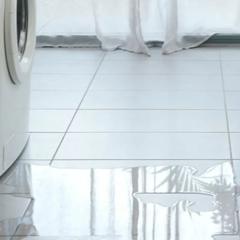 Appliance Leak Cleanup in Randolph County, AR