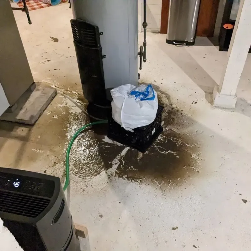 Sewage Backup Cleanup Service in Randolph County, AR